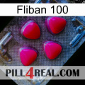 Fliban 100 13